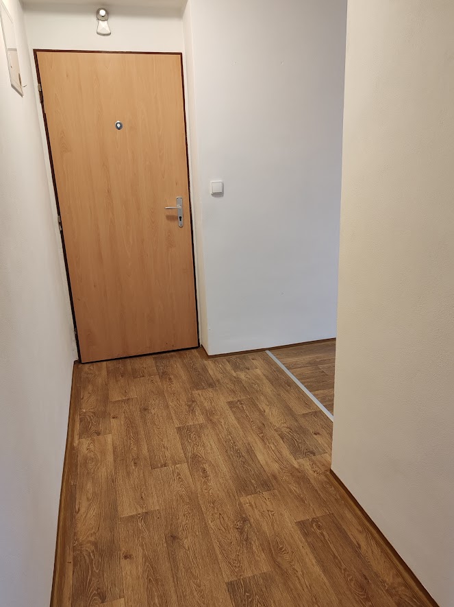 639051938992742193_chodba vstupní dveře.jpg